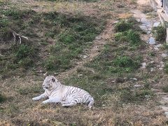 -石家庄市动物园