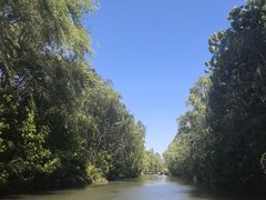 -洛阳市隋唐城遗址植物园