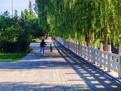 -汉长安城未央宫国家考古遗址公园