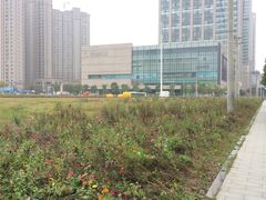 -后襄河公园