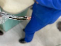 -佳雯宠物医院(四明中路分院)