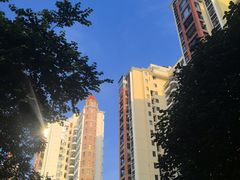 -深圳野生动物园