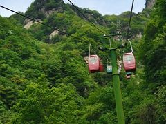 -王顺山国家森林公园