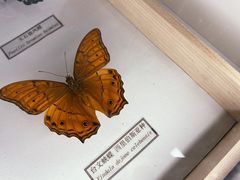 -浙江自然博物院(杭州馆)