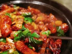 东星斑-新花城蟹粉馆(乌鲁木齐店)