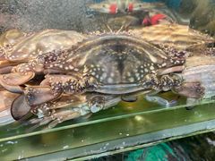 -海味当家·蒸锅海鲜(星海公园店)