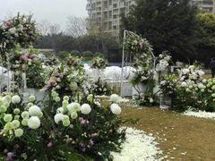 -成都保利公园皇冠假日酒店(熊猫基地店)