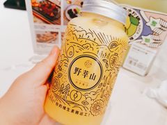 -野萃山·潮汕厚果汁(十亩地店)