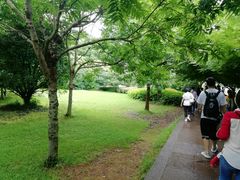 -普陀山风景名胜区-法雨禅寺