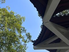 -南京老山国家森林公园