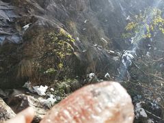 -明堂山风景区