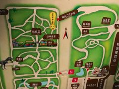 -北京呀路古热带植物园