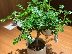 -CURRY YA 熟成咖哩專門店(深圳湾万象城店)