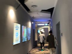 -星河寰宇IMAX影城(星河WORLD·COCO Park店)