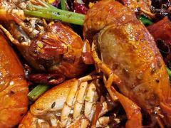 干煸龙虾-杨氏青龙虾·羊蝎子(金盛路总店)