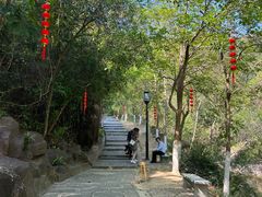 -广州白江湖森林公园