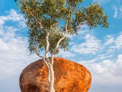 -全家便利店(花园路店)