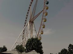 游乐设施-石家庄市动物园