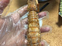 -华源餐厅·海鲜大排档(日月贝店)