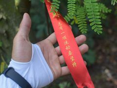 -黄埔油麻山森林公园