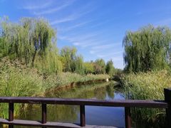 -武清南湖绿博园