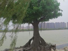 -咸阳湖景区