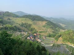 -紫鹊界梯田景区