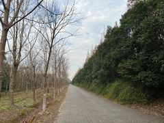 -上海海湾国家森林公园