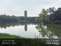 -北京大学赛克勒考古与艺术博物馆