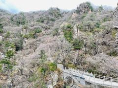 -牛背梁国家森林公园