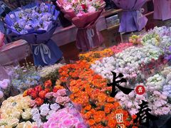 -大自然花鸟鱼虫市场