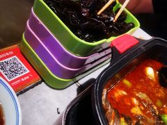 木耳-青炉里青花椒鲜活烤鱼(理工大店)