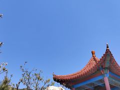 -燕窝岭