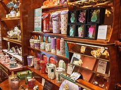 -布兰兔的植物庄园(杭州南宋御街店)