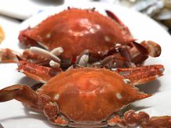 -宾朋海鲜特色美食餐厅·纯手工鲅鱼水饺(兴海路店)