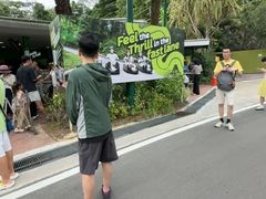 -圣淘沙天际线斜坡滑车