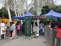 -武汉大学-樱园