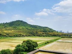 -风云岭森林公园