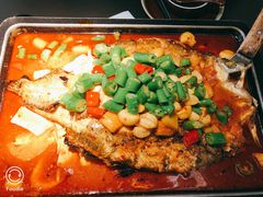 海鲈鱼-炉鱼(萧山万象汇店)