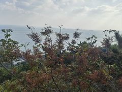 -石老人观光园