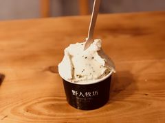 -野人牧坊Gelato(天津南开大悦城店)
