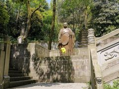 -缙云山景区