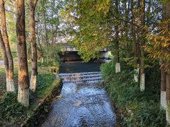 -桤木河湿地公园