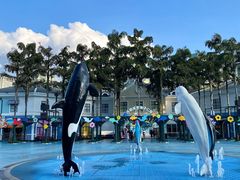 -海合安成都极地海洋公园