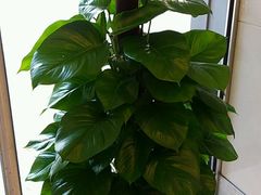 -中国工商银行(广州江南西路支行)