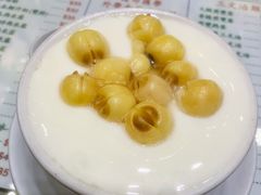 热莲子双皮炖奶-义顺牛奶公司(新马路老店)