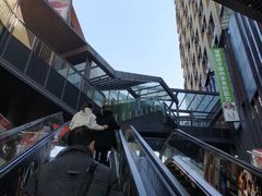 -江燕路万科里