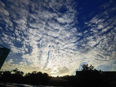 -春熙台韩国料理·章鱼肥牛(西丽店)