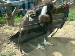 -齐齐哈尔龙沙动植物园