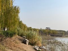 -天津东丽湖风景区